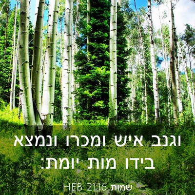 Picture 03 - שמות 21:16 HEB - וגנב איש ומכרו ונמצא בידו - Bible Verse Picture