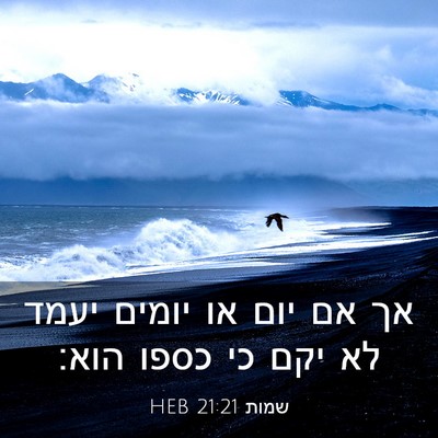 Picture 03 - שמות 21:21 HEB - אך אם יום או יומים יעמד לא - Bible Verse Picture