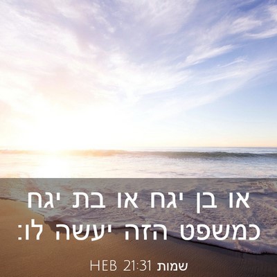 Picture 03 - שמות 21:31 HEB - או בן יגח או בת יגח כמשפט - Bible Verse Picture
