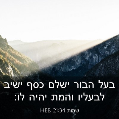 Picture 03 - שמות 21:34 HEB - בעל הבור ישלם כסף ישיב - Bible Verse Picture