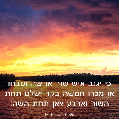 Picture 03 - שמות 22:1 HEB - כי יגנב איש שור או שה וטבחו - Bible Verse Picture