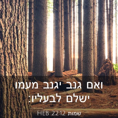 Picture 03 - שמות 22:12 HEB - ואם גנב יגנב מעמו ישלם - Bible Verse Picture