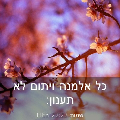 Picture 03 - שמות 22:22 HEB - כל אלמנה ויתום לא - Bible Verse Picture