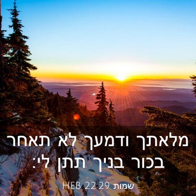 Picture 03 - שמות 22:29 HEB - מלאתך ודמעך לא תאחר בכור - Bible Verse Picture