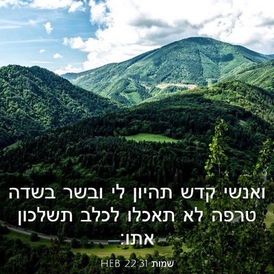 Picture 03 - שמות 22:31 HEB - ואנשי קדש תהיון לי ובשר - Bible Verse Picture