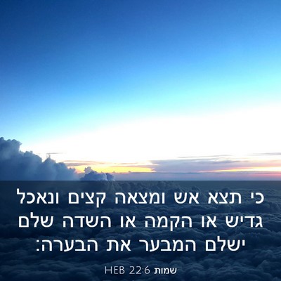 Picture 03 - שמות 22:6 HEB - כי תצא אש ומצאה קצים ונאכל - Bible Verse Picture