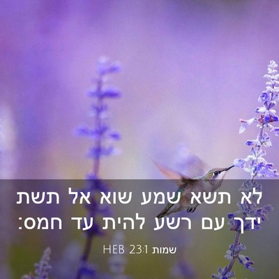 Picture 03 - שמות 23:1 HEB - לא תשא שמע שוא אל תשת ידך עם - Bible Verse Picture