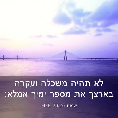 Picture 03 - שמות 23:26 HEB - לא תהיה משכלה ועקרה בארצך - Bible Verse Picture