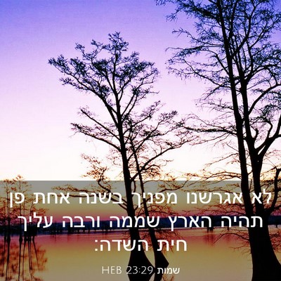 Picture 03 - שמות 23:29 HEB - לא אגרשנו מפניך בשנה אחת פן - Bible Verse Picture