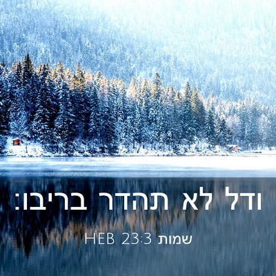 Picture 03 - שמות 23:3 HEB - ודל לא תהדר - Bible Verse Picture