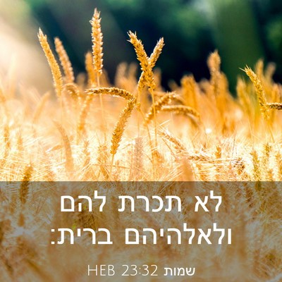 Picture 03 - שמות 23:32 HEB - לא תכרת להם ולאלהיהם - Bible Verse Picture