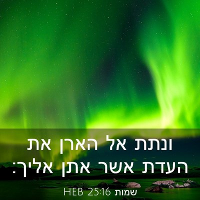 Picture 03 - שמות 25:16 HEB - ונתת אל הארן את העדת אשר - Bible Verse Picture