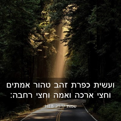 Picture 03 - שמות 25:17 HEB - ועשית כפרת זהב טהור אמתים - Bible Verse Picture