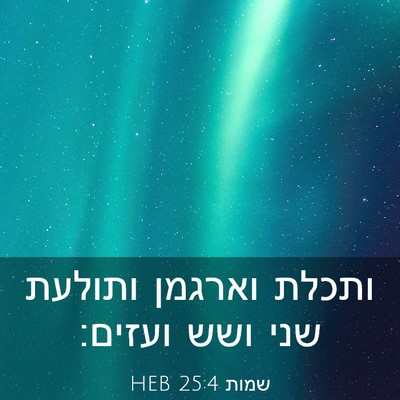 Picture 03 - שמות 25:4 HEB - ותכלת וארגמן ותולעת שני - Bible Verse Picture