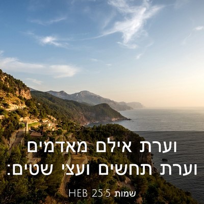 Picture 03 - שמות 25:5 HEB - וערת אילם מאדמים וערת - Bible Verse Picture