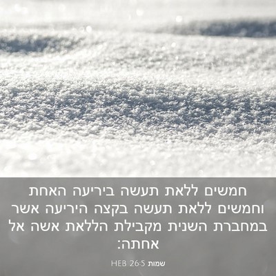 Picture 03 - שמות 26:5 HEB - חמשים ללאת תעשה ביריעה - Bible Verse Picture