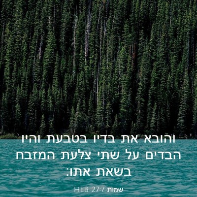 Picture 03 - שמות 27:7 HEB - והובא את בדיו בטבעת והיו - Bible Verse Picture