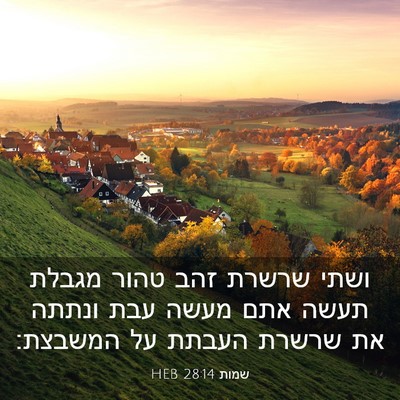 Picture 03 - שמות 28:14 HEB - ושתי שרשרת זהב טהור מגבלת - Bible Verse Picture