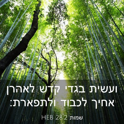 Picture 03 - שמות 28:2 HEB - ועשית בגדי קדש לאהרן אחיך - Bible Verse Picture