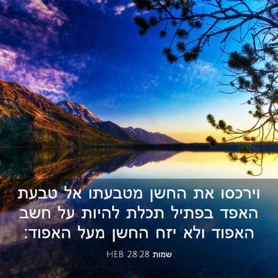 Picture 03 - שמות 28:28 HEB - וירכסו את החשן מטבעתו אל - Bible Verse Picture