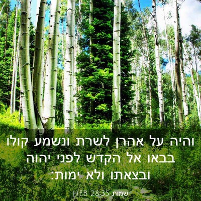 Picture 03 - שמות 28:35 HEB - והיה על אהרן לשרת ונשמע - Bible Verse Picture