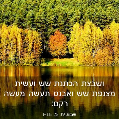 Picture 03 - שמות 28:39 HEB - ושבצת הכתנת שש ועשית מצנפת - Bible Verse Picture