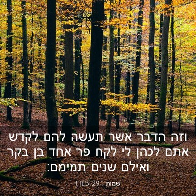 Picture 03 - שמות 29:1 HEB - וזה הדבר אשר תעשה להם לקדש - Bible Verse Picture