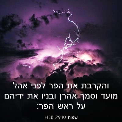 Picture 03 - שמות 29:10 HEB - והקרבת את הפר לפני אהל מועד - Bible Verse Picture
