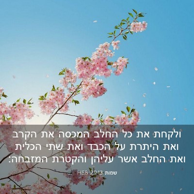 Picture 03 - שמות 29:13 HEB - ולקחת את כל החלב המכסה את - Bible Verse Picture