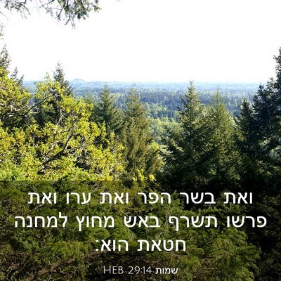 Picture 03 - שמות 29:14 HEB - ואת בשר הפר ואת ערו ואת - Bible Verse Picture