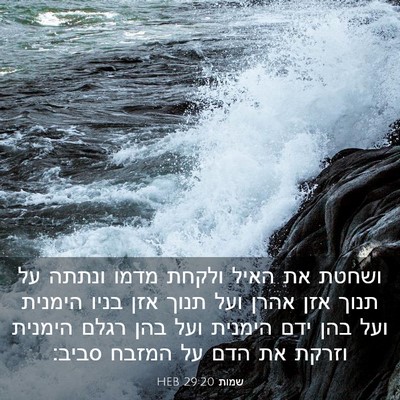Picture 03 - שמות 29:20 HEB - ושחטת את האיל ולקחת מדמו - Bible Verse Picture