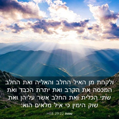 Picture 03 - שמות 29:22 HEB - ולקחת מן האיל החלב והאליה - Bible Verse Picture