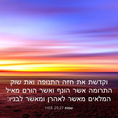 Picture 03 - שמות 29:27 HEB - וקדשת את חזה התנופה ואת שוק - Bible Verse Picture