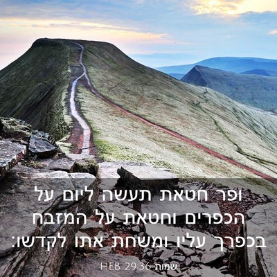 Picture 03 - שמות 29:36 HEB - ופר חטאת תעשה ליום על - Bible Verse Picture