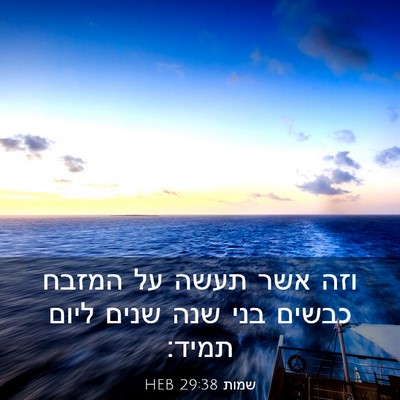 Picture 03 - שמות 29:38 HEB - וזה אשר תעשה על המזבח כבשים - Bible Verse Picture