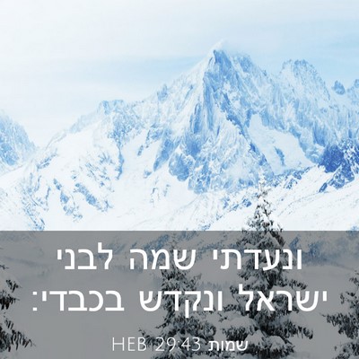 Picture 03 - שמות 29:43 HEB - ונעדתי שמה לבני ישראל - Bible Verse Picture