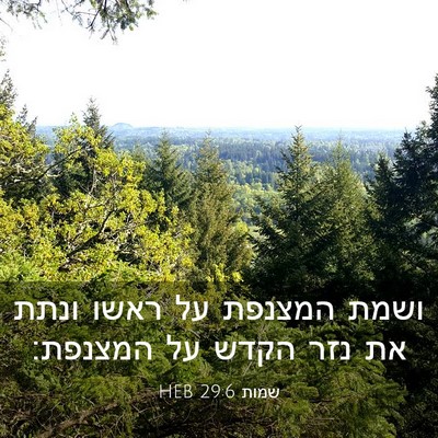 Picture 03 - שמות 29:6 HEB - ושמת המצנפת על ראשו ונתת את - Bible Verse Picture
