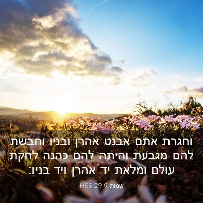 Picture 03 - שמות 29:9 HEB - וחגרת אתם אבנט אהרן ובניו - Bible Verse Picture