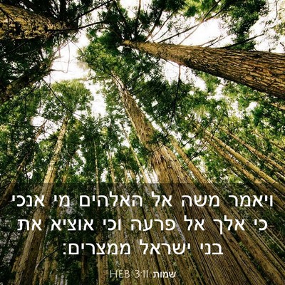 Picture 03 - שמות 3:11 HEB - ויאמר משה אל האלהים מי אנכי - Bible Verse Picture