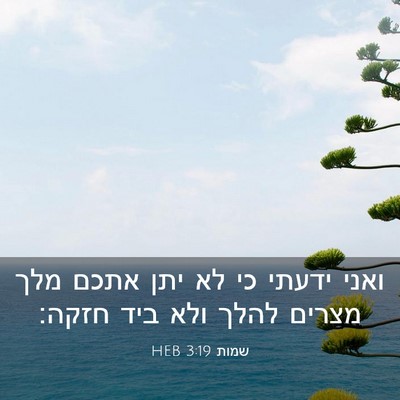 Picture 03 - שמות 3:19 HEB - ואני ידעתי כי לא יתן אתכם - Bible Verse Picture