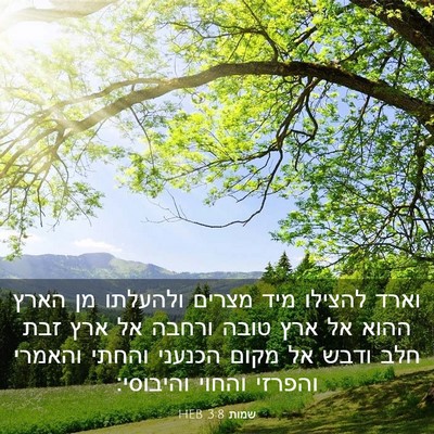 Picture 03 - שמות 3:8 HEB - וארד להצילו מיד מצרים - Bible Verse Picture