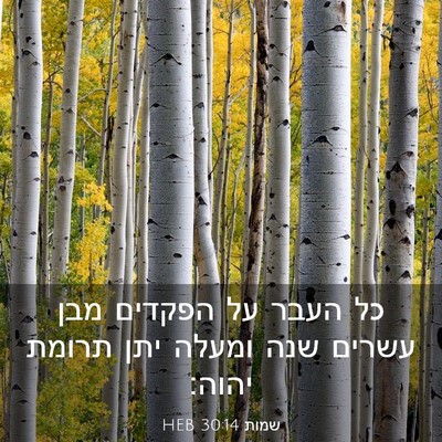 Picture 03 - שמות 30:14 HEB - כל העבר על הפקדים מבן עשרים - Bible Verse Picture