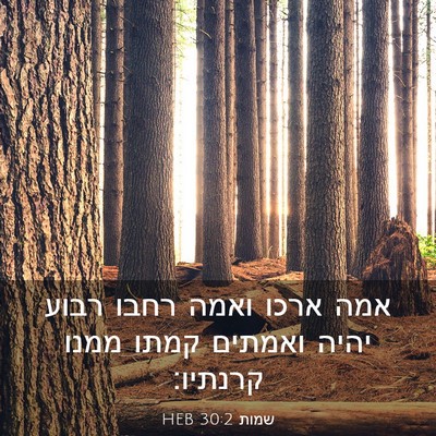 Picture 03 - שמות 30:2 HEB - אמה ארכו ואמה רחבו רבוע - Bible Verse Picture