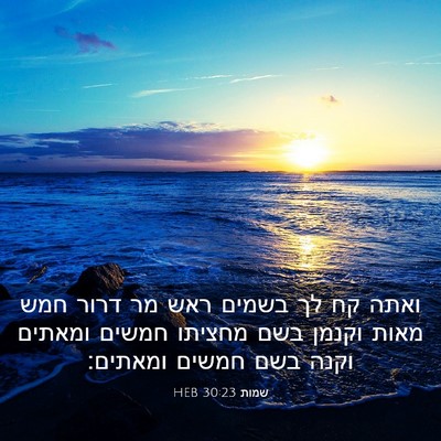 Picture 03 - שמות 30:23 HEB - ואתה קח לך בשמים ראש מר - Bible Verse Picture