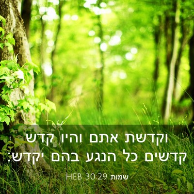 Picture 03 - שמות 30:29 HEB - וקדשת אתם והיו קדש קדשים כל - Bible Verse Picture