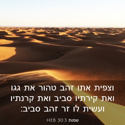 Picture 03 - שמות 30:3 HEB - וצפית אתו זהב טהור את גגו - Bible Verse Picture