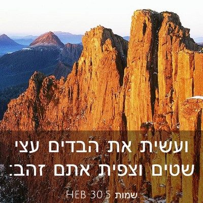 Picture 03 - שמות 30:5 HEB - ועשית את הבדים עצי שטים - Bible Verse Picture