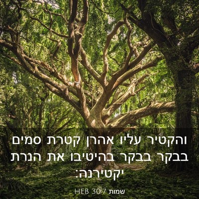 Picture 03 - שמות 30:7 HEB - והקטיר עליו אהרן קטרת סמים - Bible Verse Picture