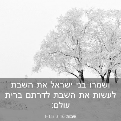 Picture 03 - שמות 31:16 HEB - ושמרו בני ישראל את השבת - Bible Verse Picture