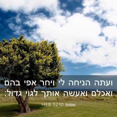 Picture 03 - שמות 32:10 HEB - ועתה הניחה לי ויחר אפי בהם - Bible Verse Picture